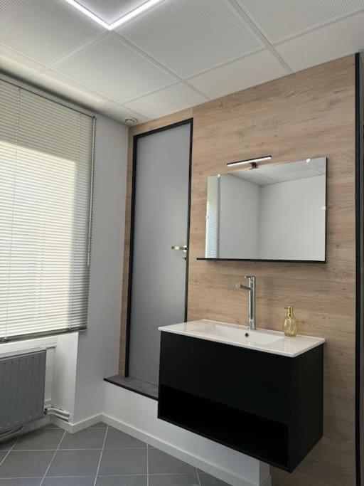 Appartement La Citadelle Belfort Ngoại thất bức ảnh
