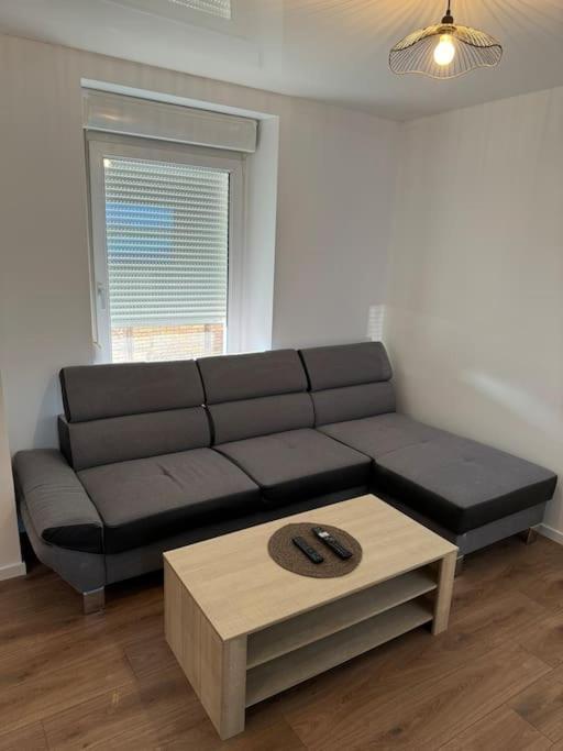 Appartement La Citadelle Belfort Ngoại thất bức ảnh